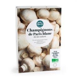 Kit Champignons de Paris Blancs Bio 4L