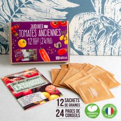 12 sachet box - Ancient Tomatoes