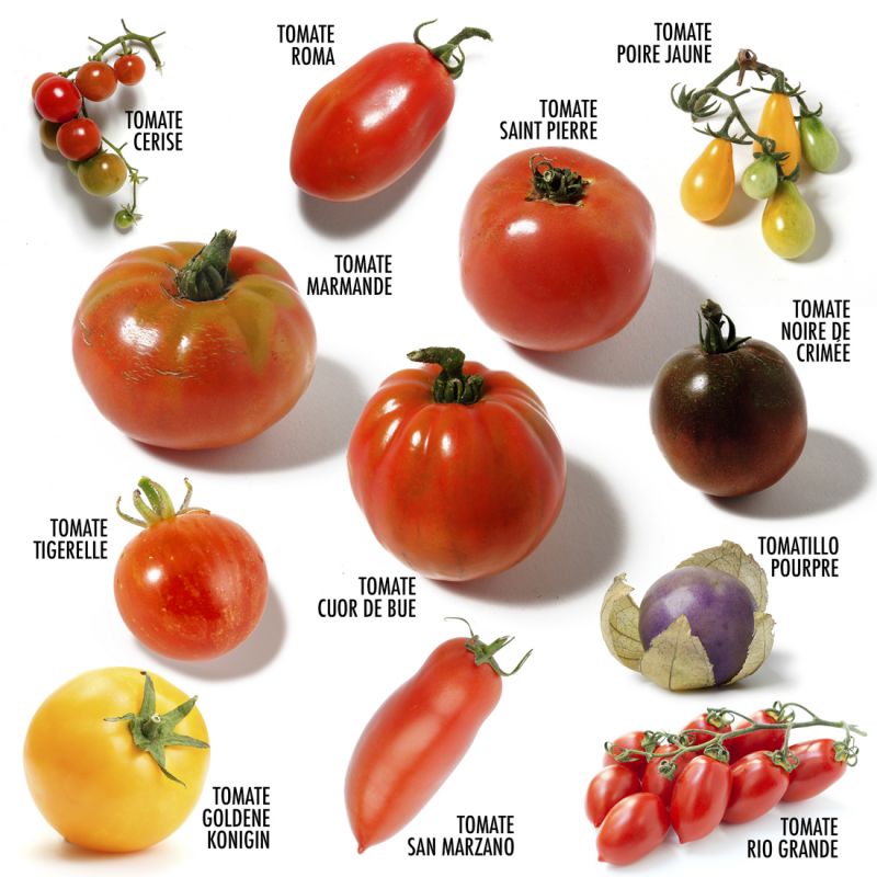 Coffret 12 sachets - Tomates Anciennes