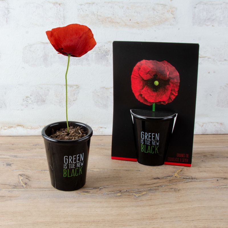 Black pot culture kit 6 cm - Coquelicot