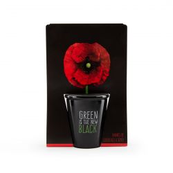 Black pot culture kit 6 cm - Coquelicot