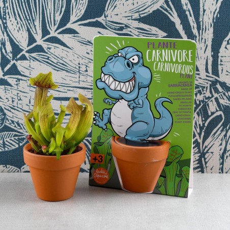 T rex dinosaure et plantes carnivores à semer- Carte avec pot