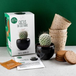 Cactus grow box with pot