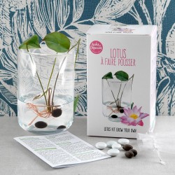 Coffret de culture Lotus avec vase