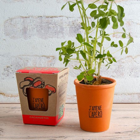 Planting kit message "I bring the aperitif" - Peanuts to sow