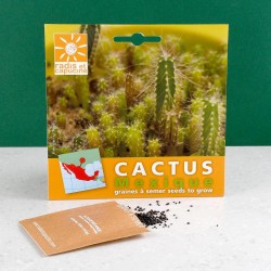 Cactus seeds to sow in pot