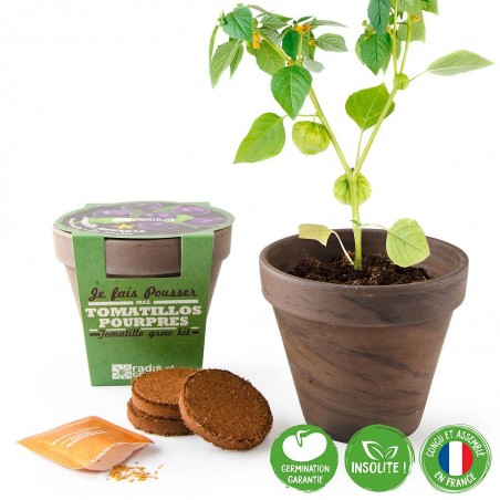 Pot Basalt 13cm Tomatillos pourpre