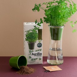 Autonomous garden : Persil...