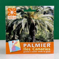 Palm seeds for indoor...