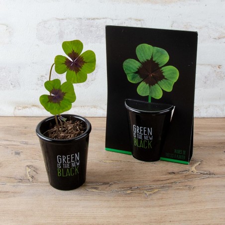 Kit de culture pot black 6 cm - Trèfle à 4 feuilles