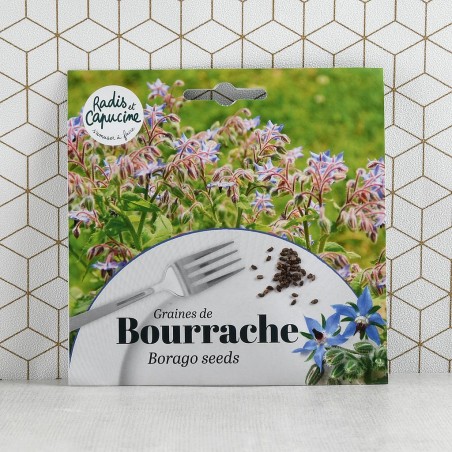 Graines de Bourrache comestible à semer