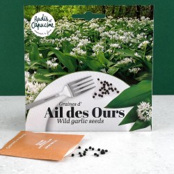 Edible wild garlic seeds to...