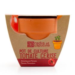 Graines de Tomate Cerise bio à semer en pot terre cuite