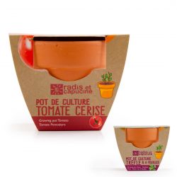 Graines de Tomate Cerise bio à semer en pot terre cuite