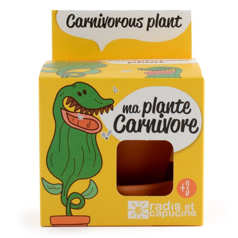 Graines de plantes carnivores à faire pousser Kit plantation 8 cm