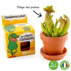 Graines de plantes carnivores à faire pousser Kit plantation 8 cm