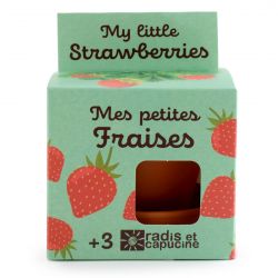 Graines de Fraisier à faire pousser Kit plantation 8 cm