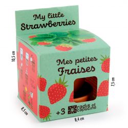 Graines de Fraisier à faire pousser Kit plantation 8 cm