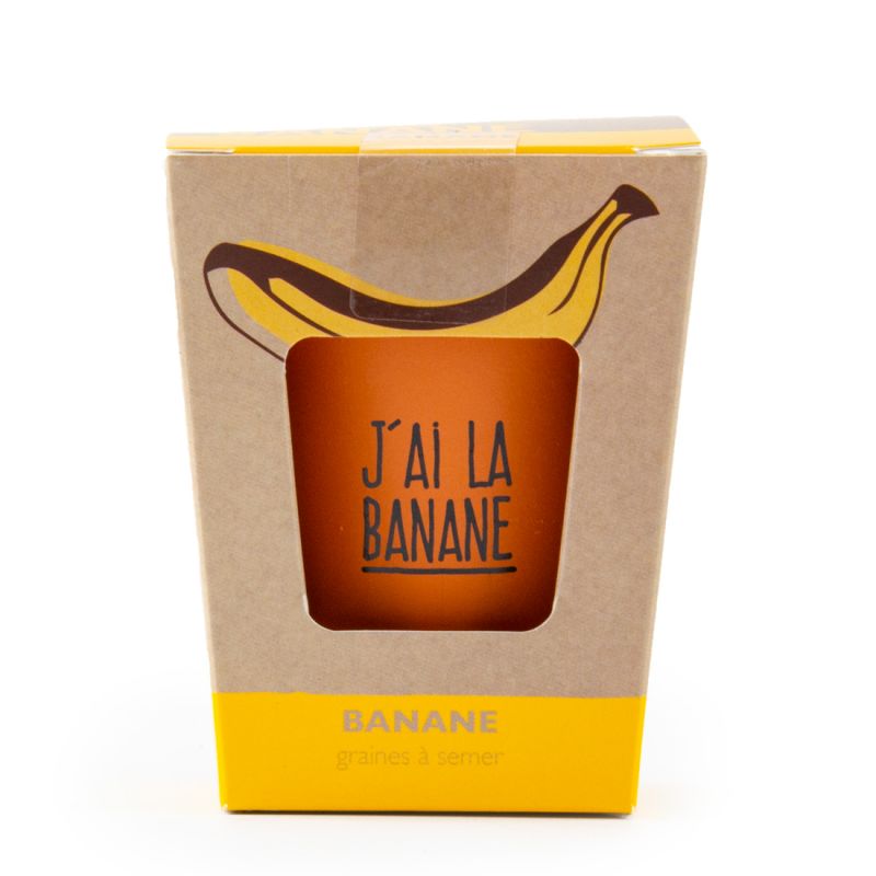 Kit de plantation message "J'ai la banane" - Bananier à semer