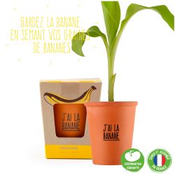 Kit de plantation message "J'ai la banane" - Bananier à semer