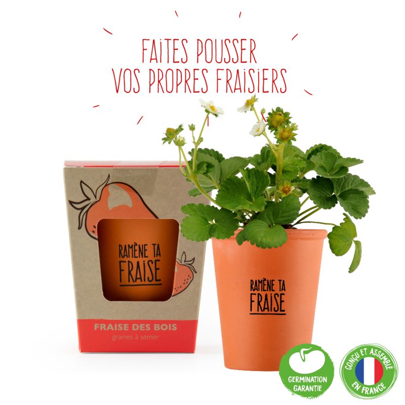 Kit de plantation message "Ramène ta fraise" - Fraisier à semer