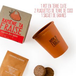 Kit de plantation message "Ramène ta fraise" - Fraisier à semer