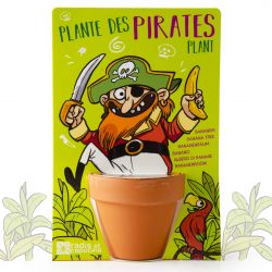 Pirate et son Bananier à semer - Carte avec pot