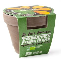 Pot Terre cuite Basalte 13cm Tomate poire jaune bio