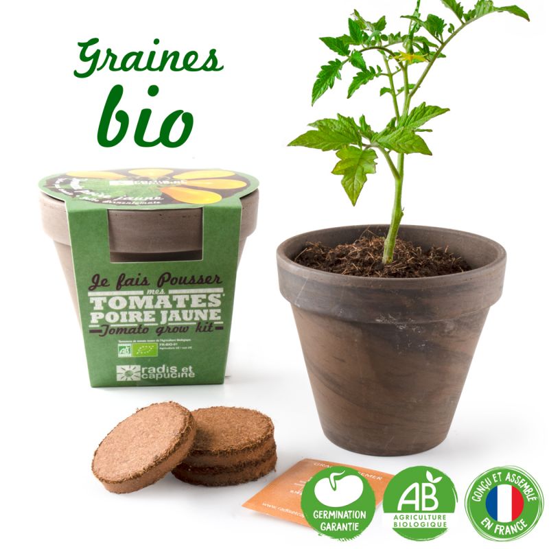 Pot Terre cuite Basalte 13cm Tomate poire jaune bio