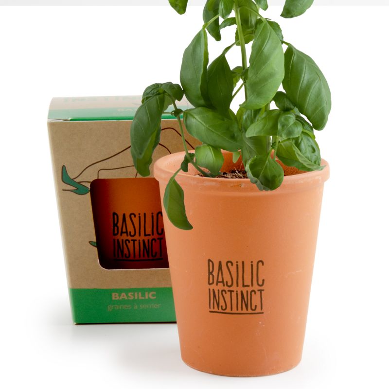 Kit de plantation message "Basilic Instinct" - Basilic à semer