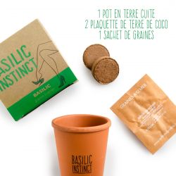 Kit de plantation message "Basilic Instinct" - Basilic à semer