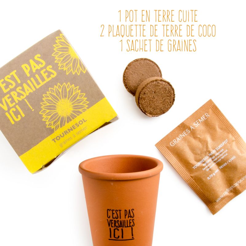 Kit de plantation Message "C'est pas Versailles ici !" avec Soleil à semer