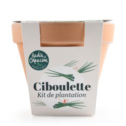 Pot Terre cuite Antique 13cm - Ciboulette Bio