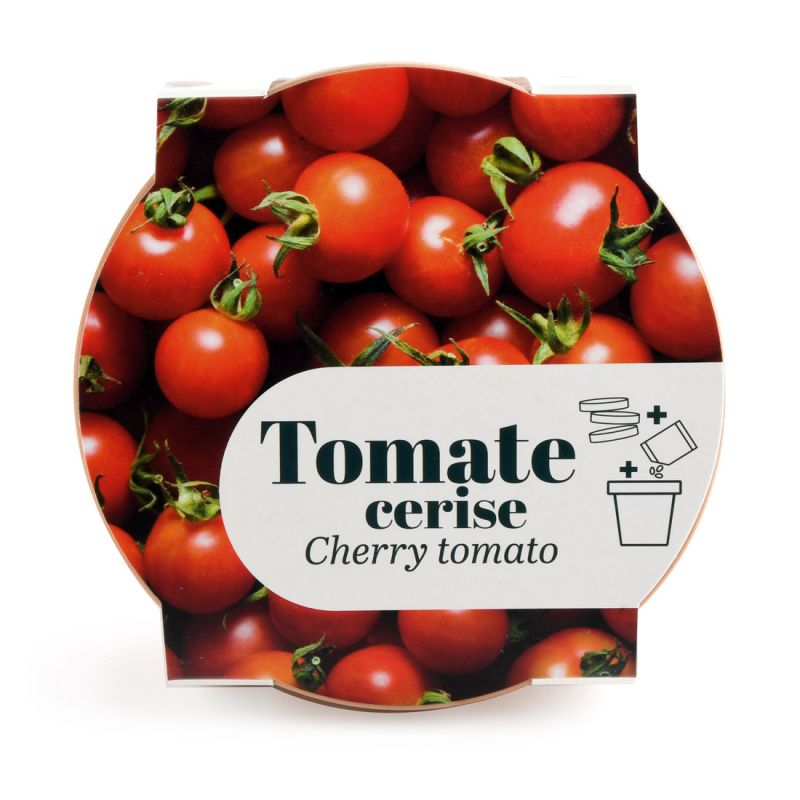 Pot Terre cuite Antique 13cm - Tomate cerise Bio