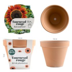 Pot Terre cuite Antique 13cm - Tournesol rouge