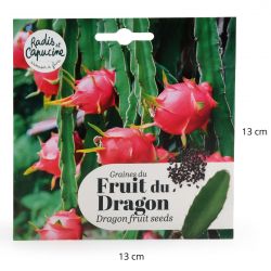 Exotiques : Graines de Fruit du Dragon