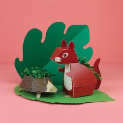 Pop up Garden - Squirrel...