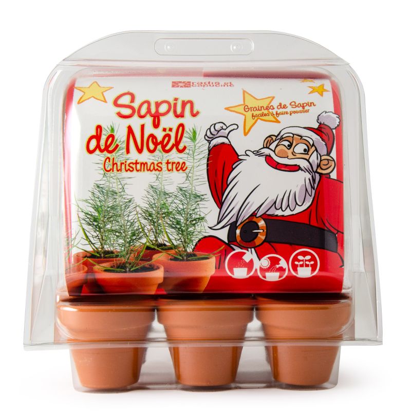 Mini serre de jardinage Sapins de Noël à semer