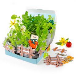 Atelier jardinage enfant Mini Potager