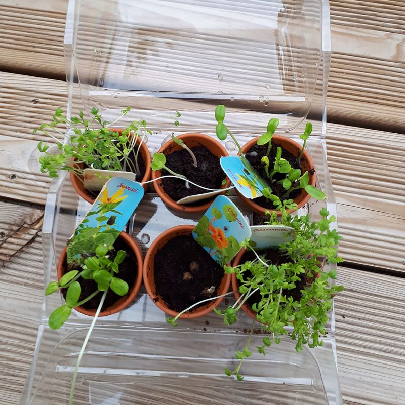 Serre Jardinage enfant - Mon premier Jardin à semer