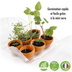 Serre Jardinage enfant - Mon premier Jardin à semer