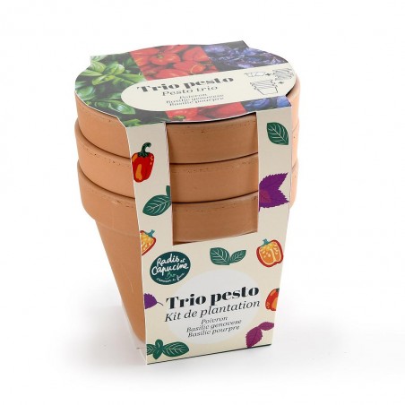 Trio de pots TC "Antique" - Pesto Bio*