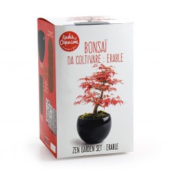 Bonsai garden set Red maple