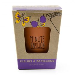 Kit de plantation message "Minute Papillon" avec Graines de fleurs a papillons à semer