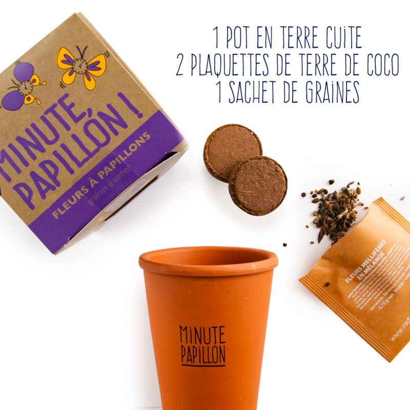 Kit de plantation message "Minute Papillon" avec Graines de fleurs a papillons à semer