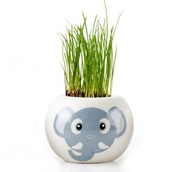 Elephant Ceramic Kit