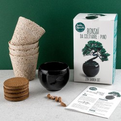 Bonsai crop box with pot