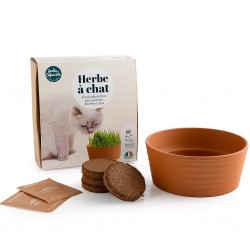 Coffret herbe à chat