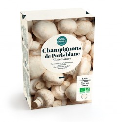 Kit Champignons de Paris...