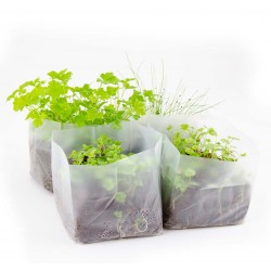 Mini Gemüsegarten mit Bio Aromamatten Quadrat